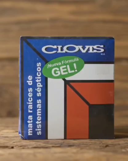 Clovis